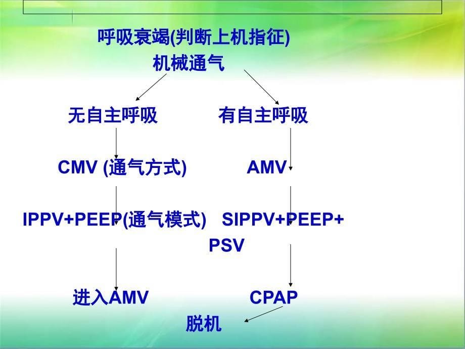 小儿机械通气_第5页