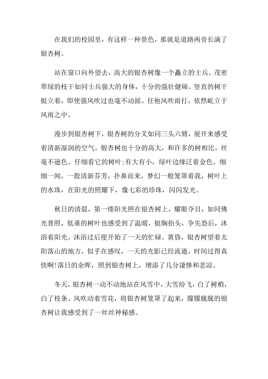 校园一景初二说明文_第4页