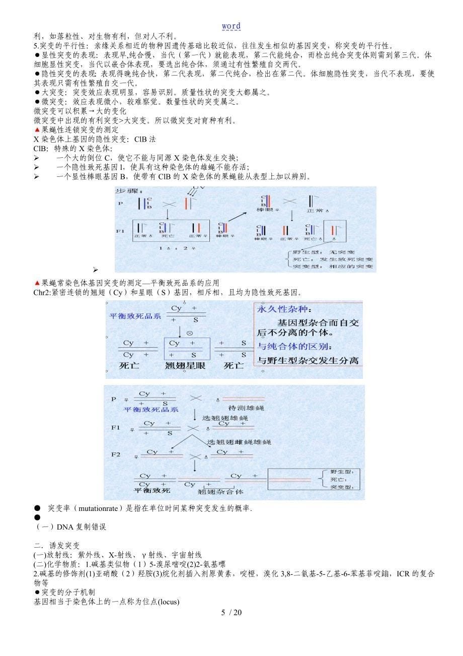 遗传学第二版戴灼华版复习重点合集_第5页