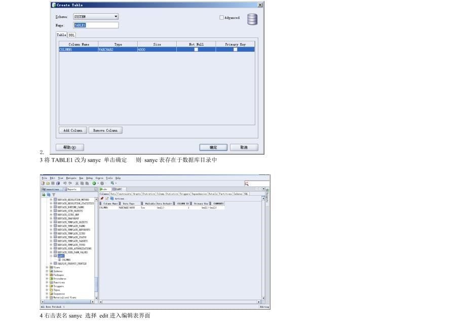 Oracle+SQL+Develop+简介（精品）_第5页