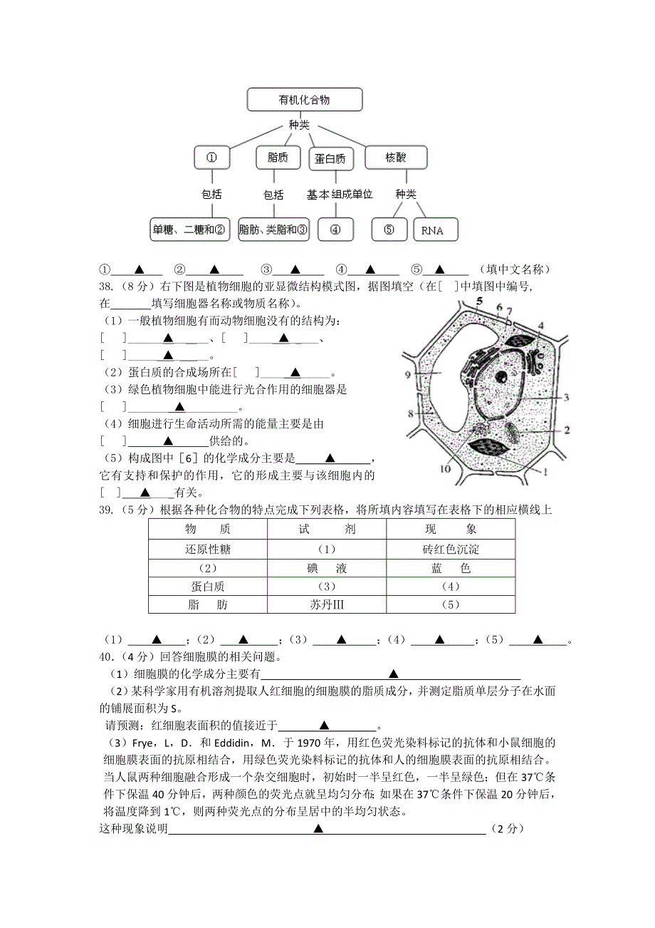 江苏省淮安市南陈集中学2010-2011学年高一生物第一学期期中教学调研试题苏教版_第4页