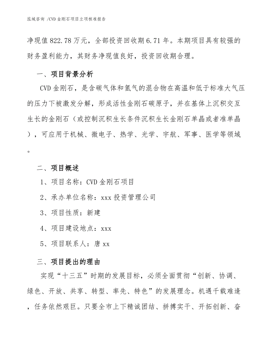 CVD金刚石项目立项核准报告（模板）_第3页