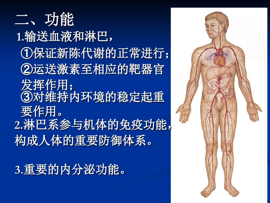 变16.17.09心脏讲课稿_第3页