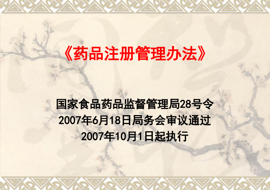 新版药品注册管理办法对仿制药和改剂型品种的技术评价要求及案例分析李眉00001_第2页