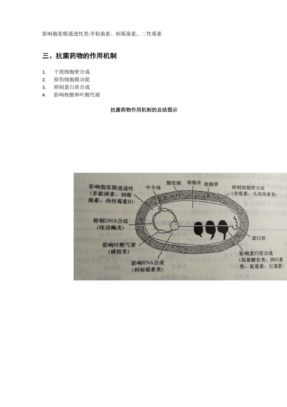 细菌耐药性的讨论报告_第2页