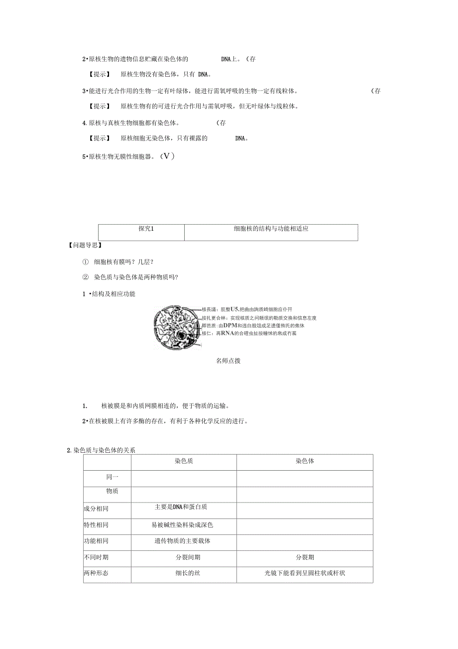 《2.5原核细胞》导学案_第3页