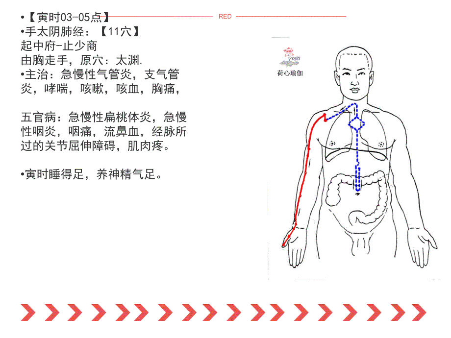 十四经络培训_第2页