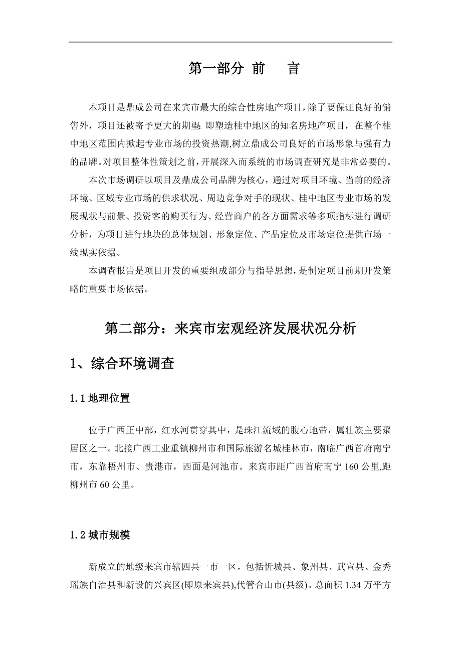广西“桂中商贸城”前期策划报告_第2页