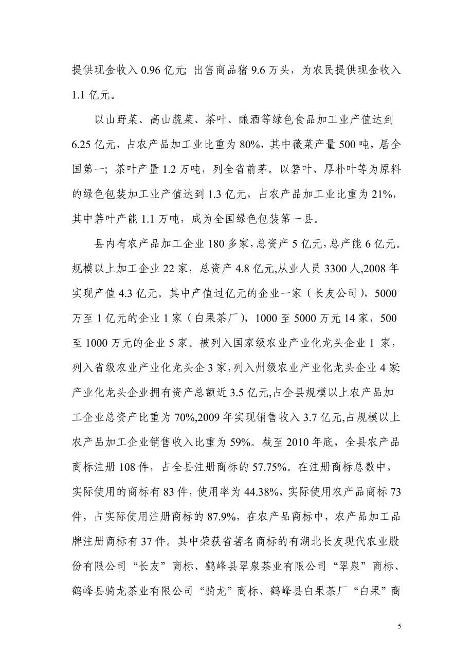 商贸中心可行性研究报告.doc_第5页