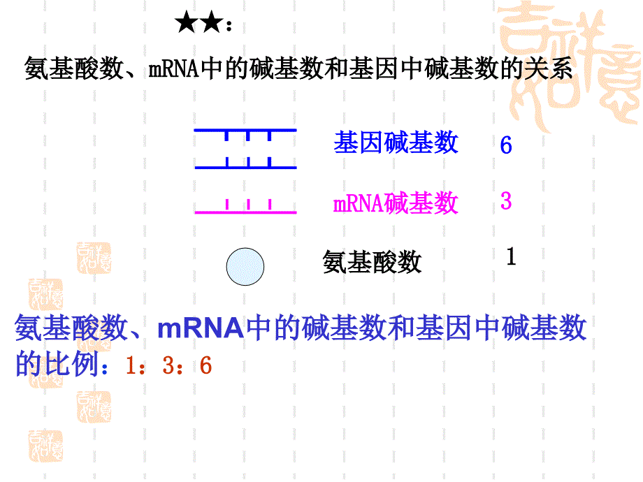 基因表达第四章的复习2_第4页