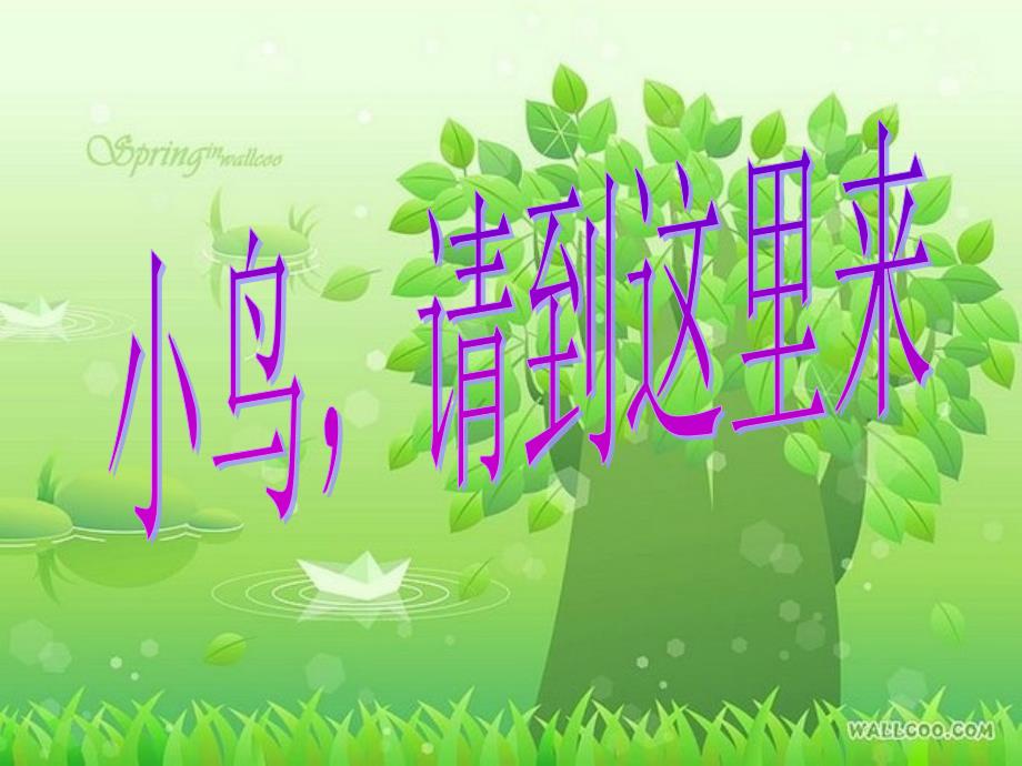 《小鸟请到这里来》PPT_第1页