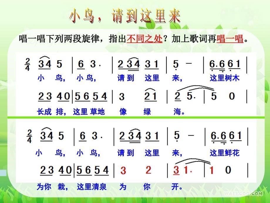 《小鸟请到这里来》PPT_第5页