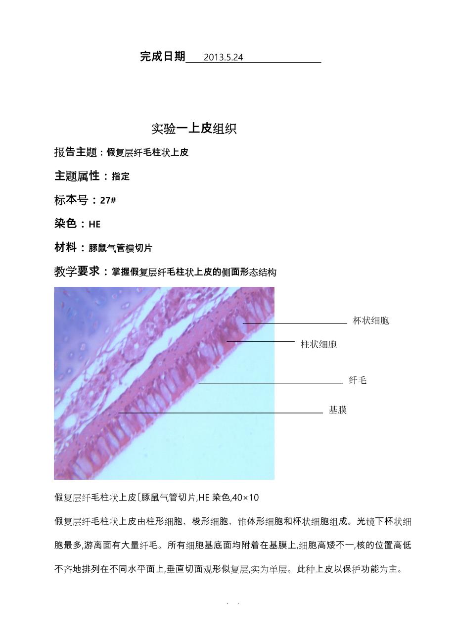 组织胚胎学实验报告_第2页
