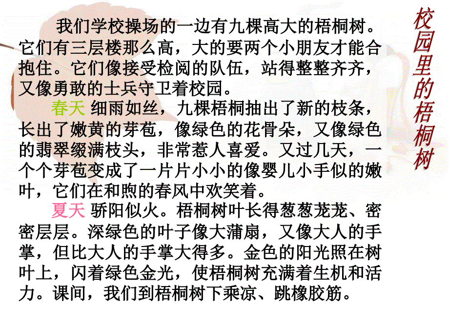 校园里的梧桐树_第1页