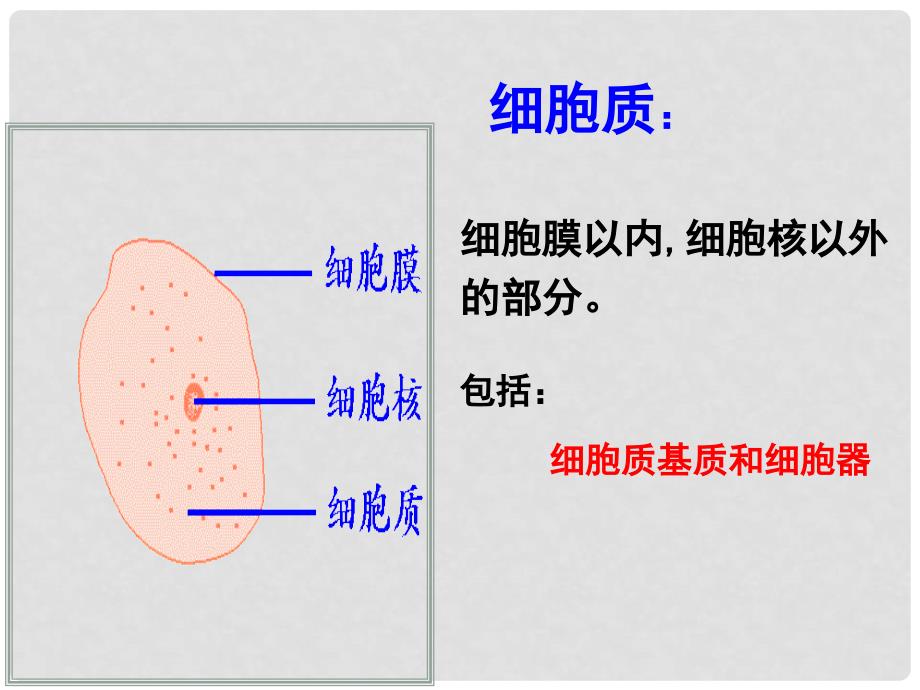 江苏省淮安市高中生物 3.2 细胞器——系统内的分工合作课件（必修1）_第2页