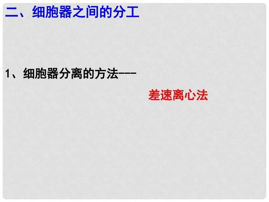 江苏省淮安市高中生物 3.2 细胞器——系统内的分工合作课件（必修1）_第5页