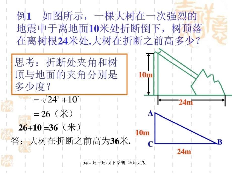 解直角三角形[下学期]-华师大版课件_第5页