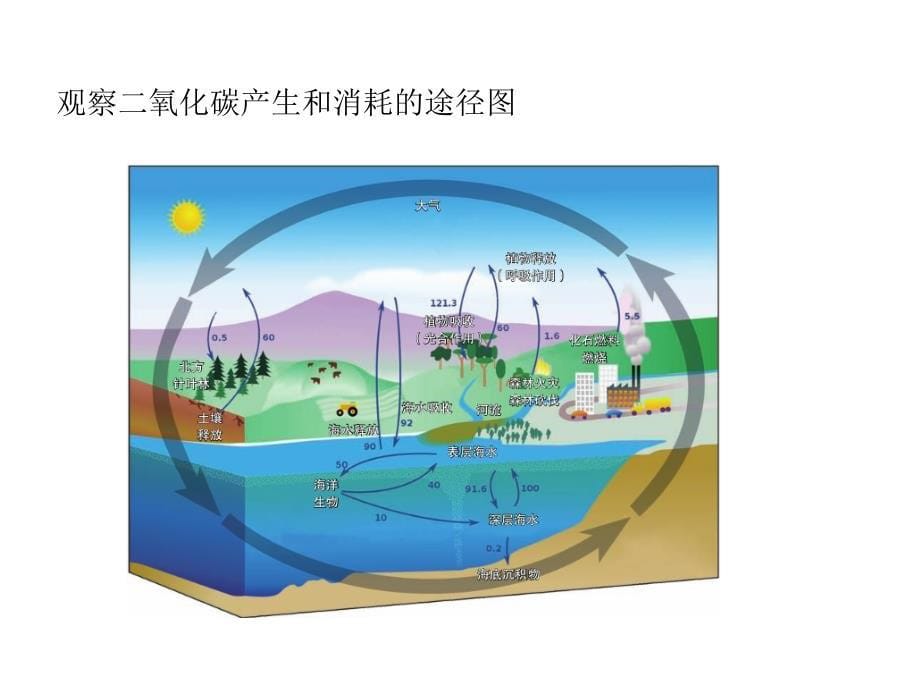 大自然中的二氧化碳（1）_第5页