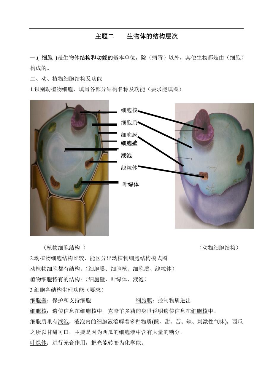 人教版初中生物知识点归纳总结_第1页