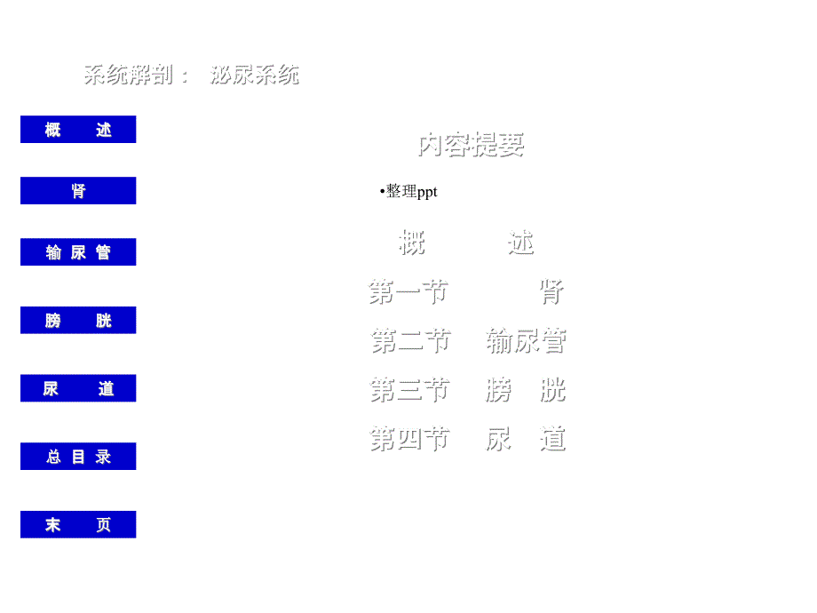 《泌尿系统概述》_第2页