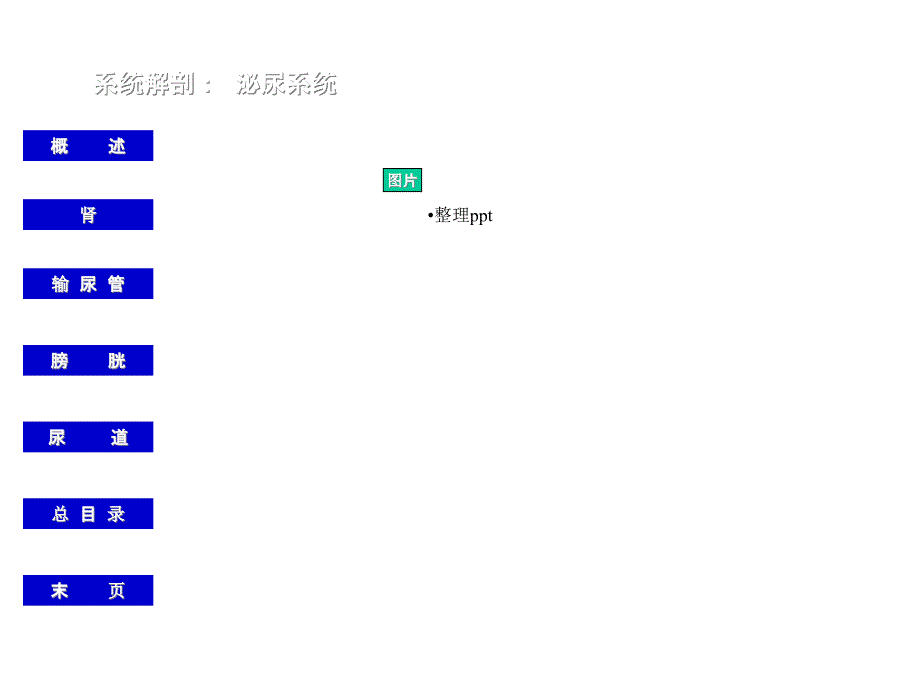 《泌尿系统概述》_第3页