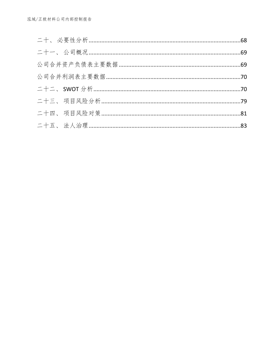 正极材料公司内部控制报告（参考）_第2页