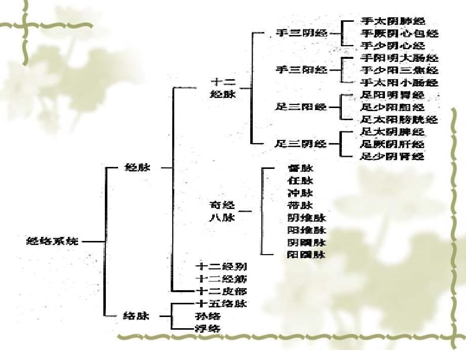 经络腧穴概述PPT下载分析课件_第5页