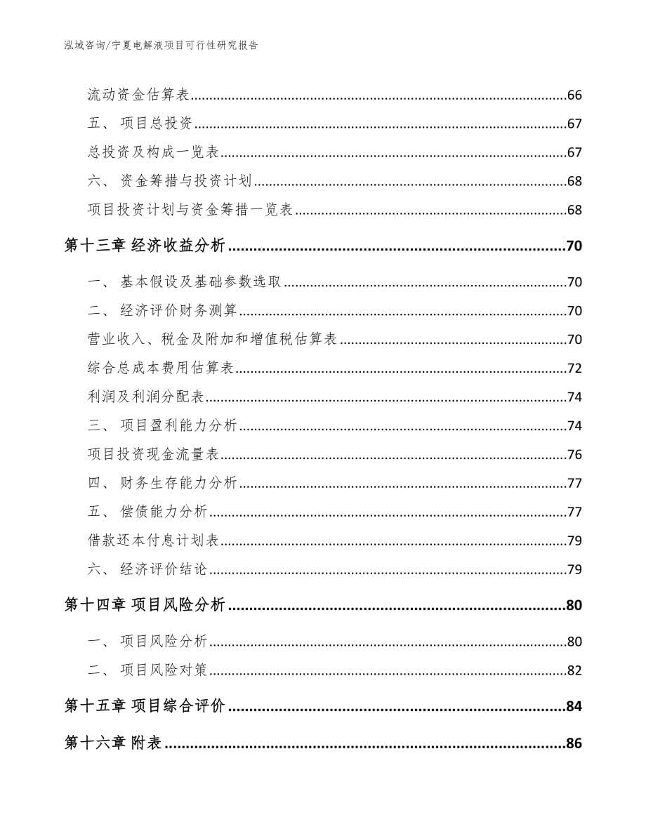 宁夏电解液项目可行性研究报告【范文】_第5页