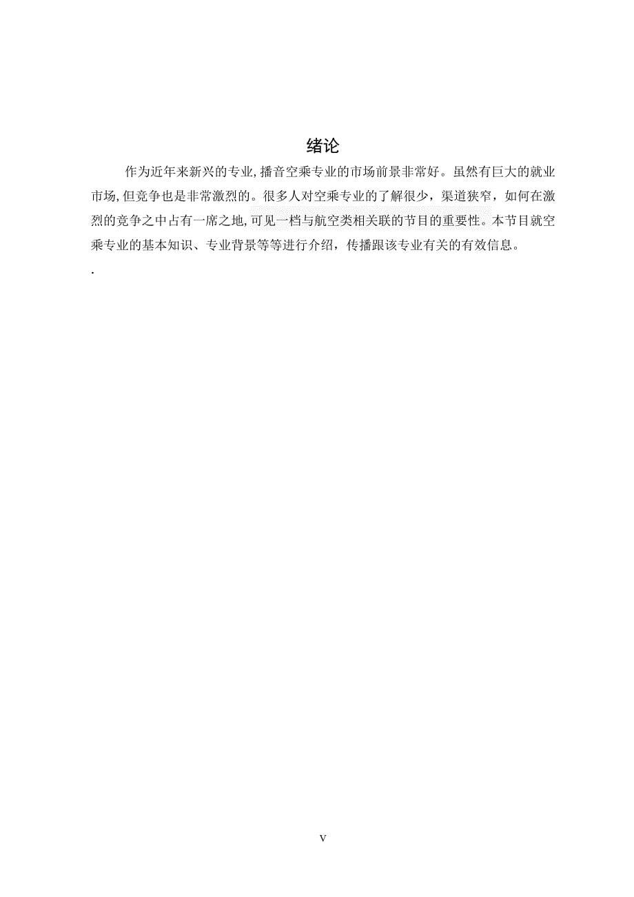 冲上云霄华中师范大学武汉传媒学院播音主持专业毕业创作报告书_第5页