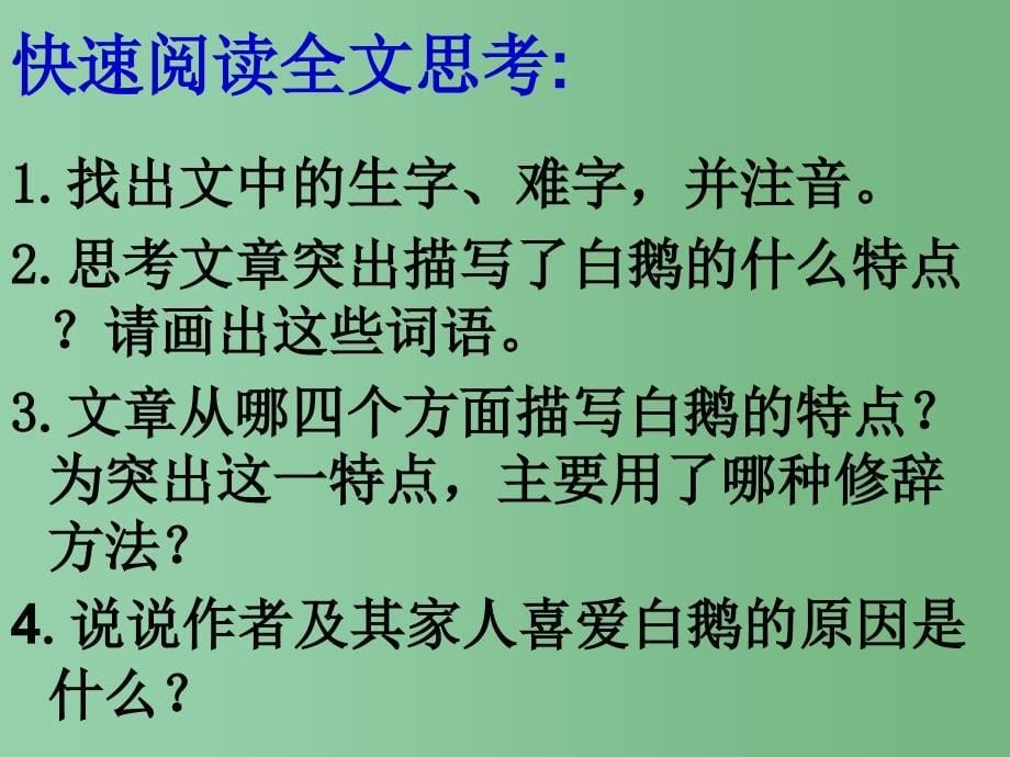 四年级语文上册 13.白鹅课件 新人教版_第5页