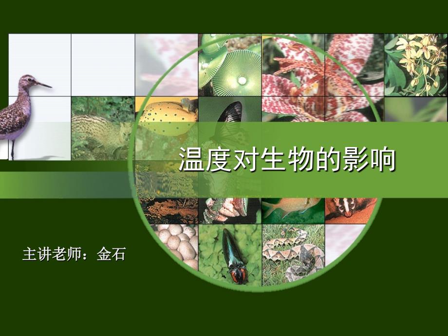 温度对生物的影响_第1页