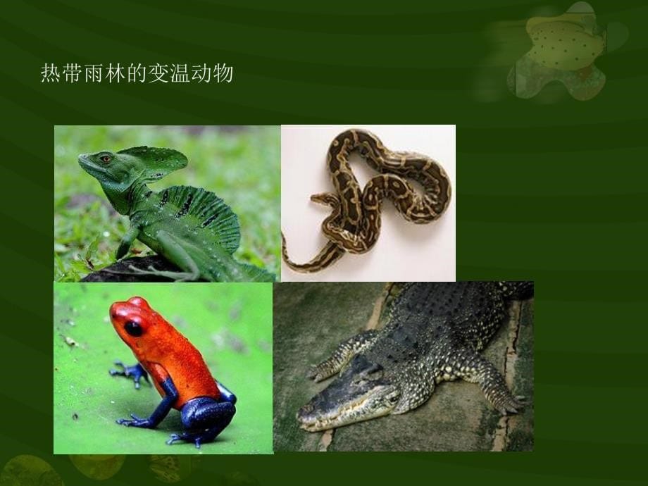 温度对生物的影响_第5页