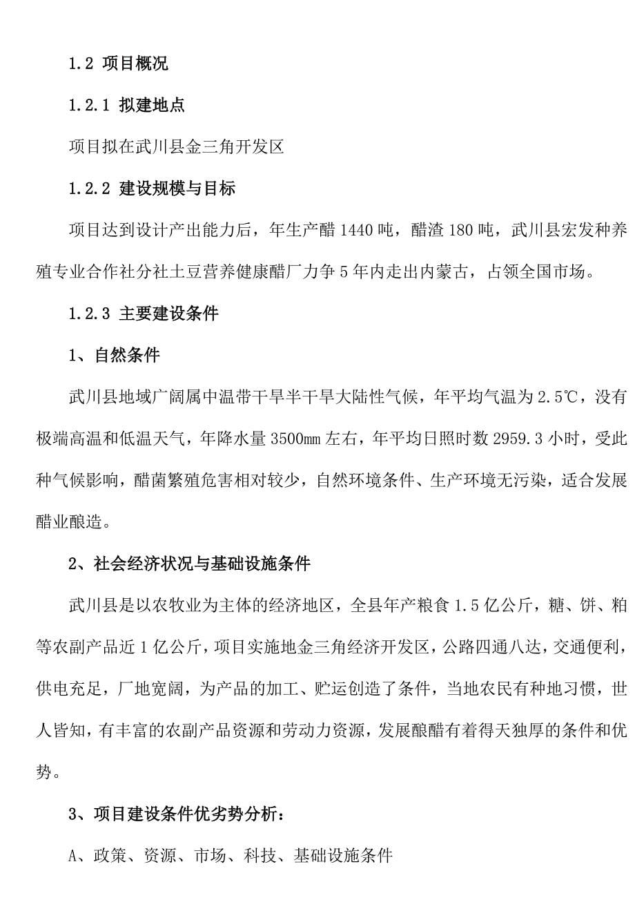 武川县宏发种养殖专业合作社分社土豆营养健康醋可行性研究报告.doc_第5页