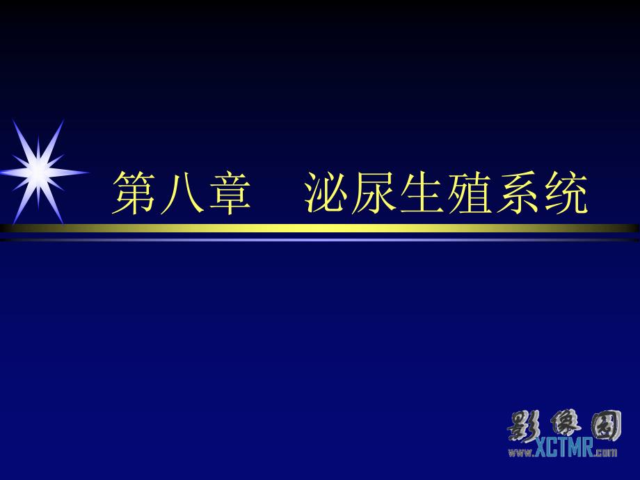 培训课件男性生殖系统疾病影像诊断ppt课件_第1页