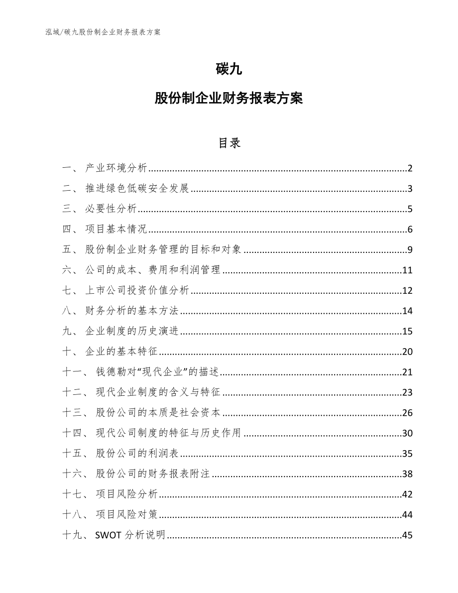 碳九股份制企业财务报表方案_参考_第1页