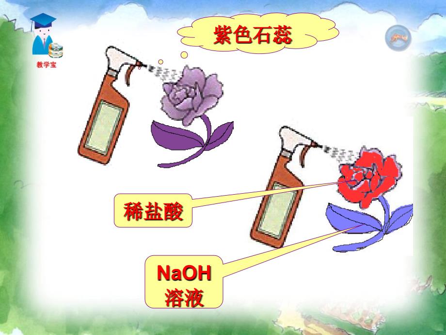 课题1常见的酸和碱_第4页