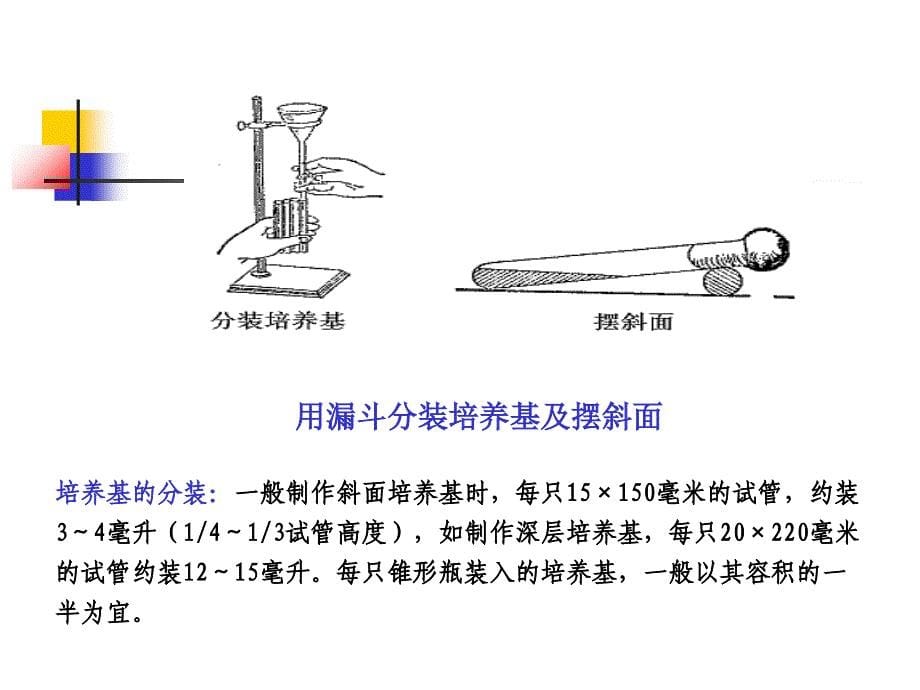 实验九水中总大肠菌群的测定ppt课件_第5页