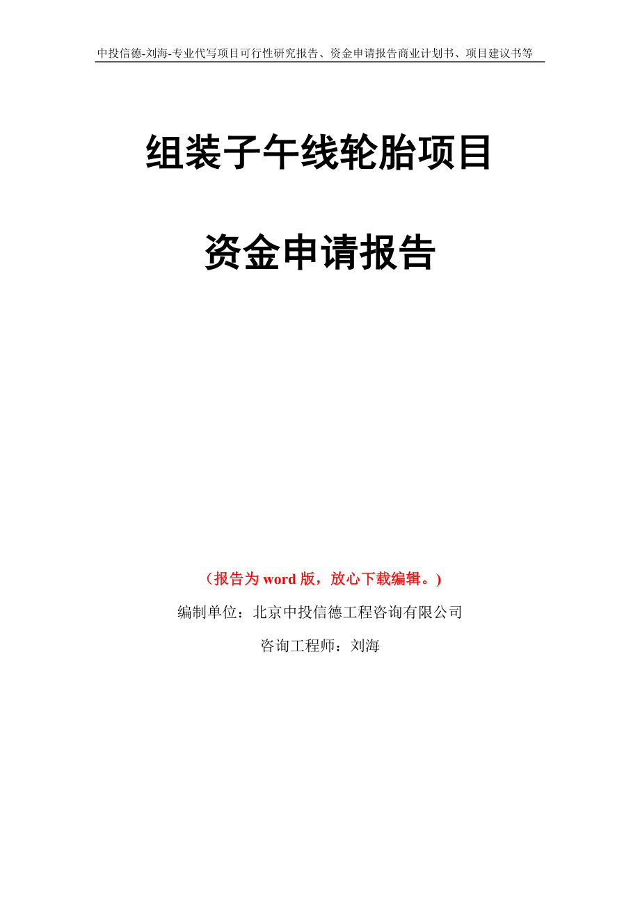 组装子午线轮胎项目资金申请报告模板_第1页