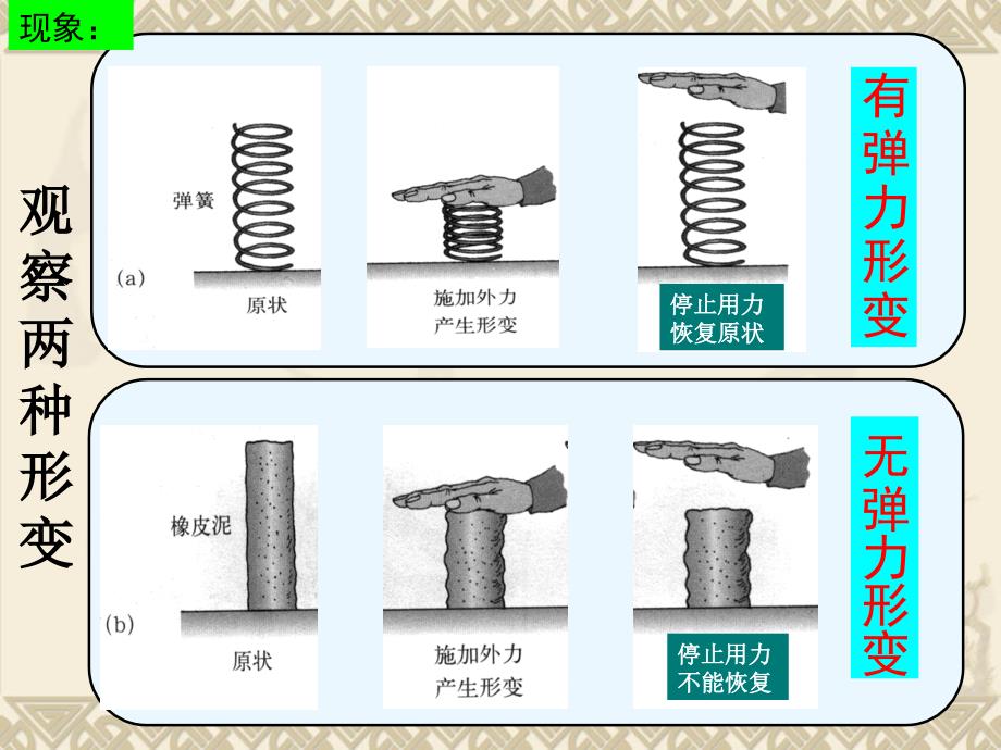 73弹力_弹簧测力计_第3页