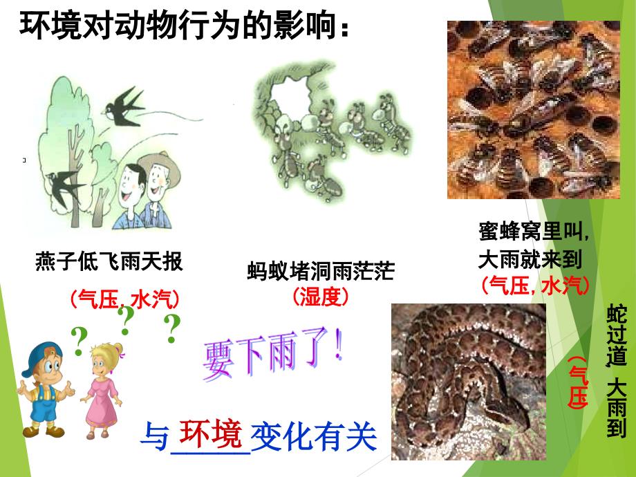 生命活动的调节课件_第4页