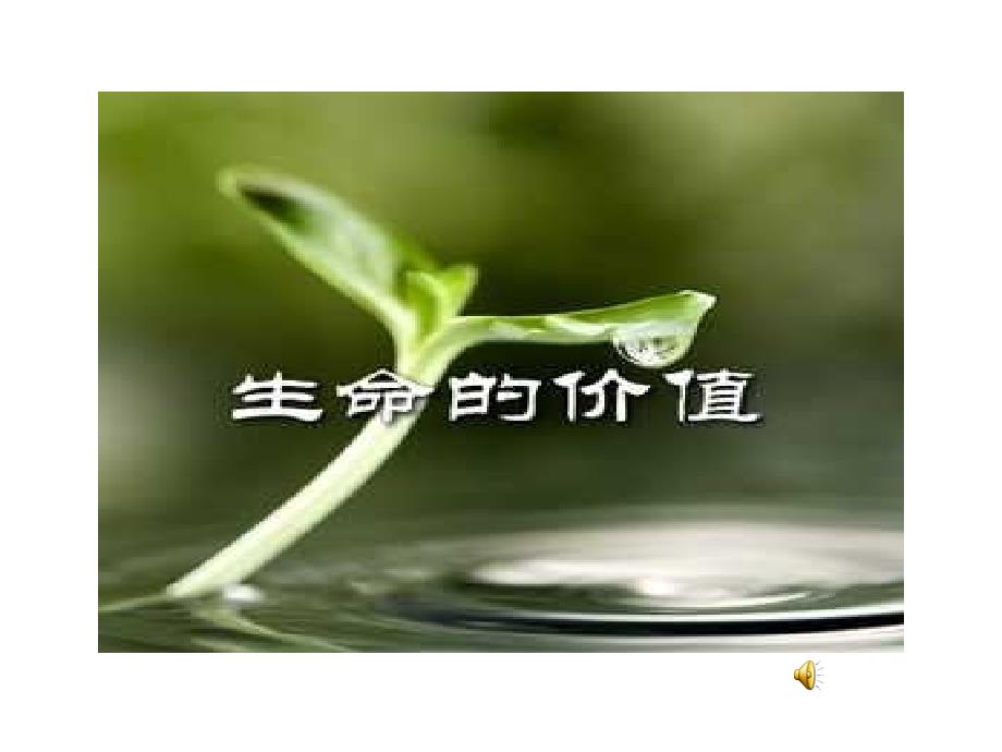 数字故事《生命的价值》.ppt_第1页