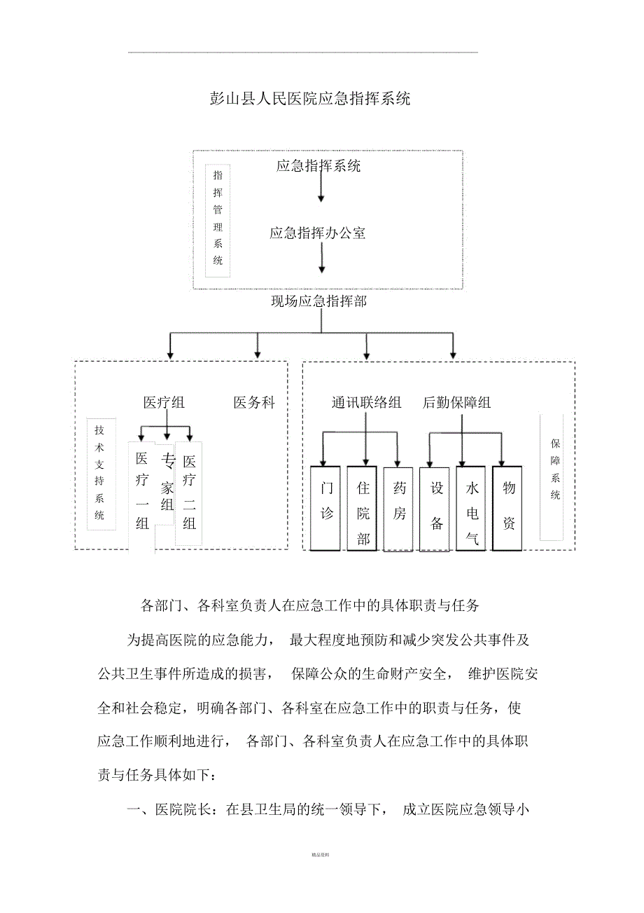 医院应急指挥系统(完整版)_第1页