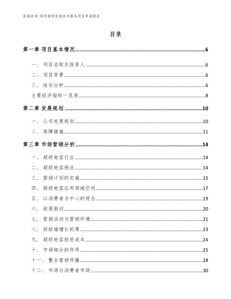 阜阳超级电容技术服务项目申请报告_参考范文_第1页