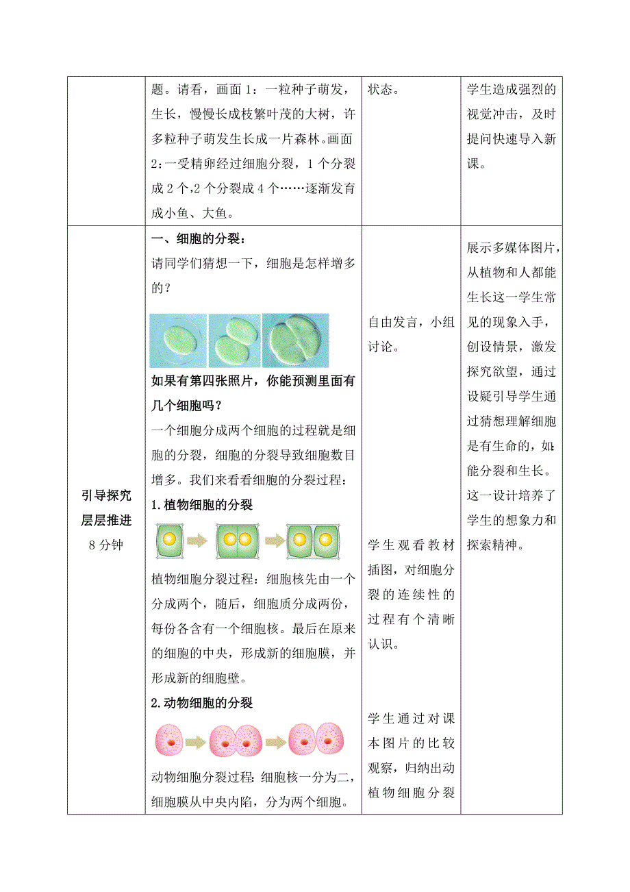 《细胞的分裂与分化》教案_第2页