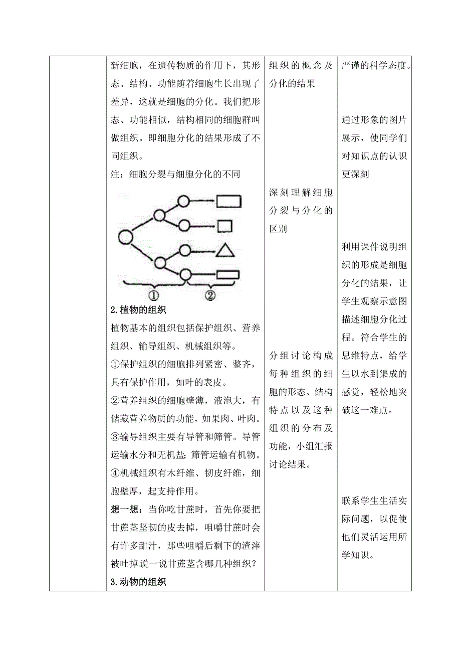 《细胞的分裂与分化》教案_第4页