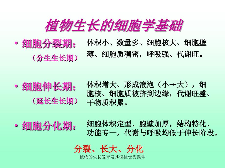 植物的生长发育及其调控优秀课件_第3页