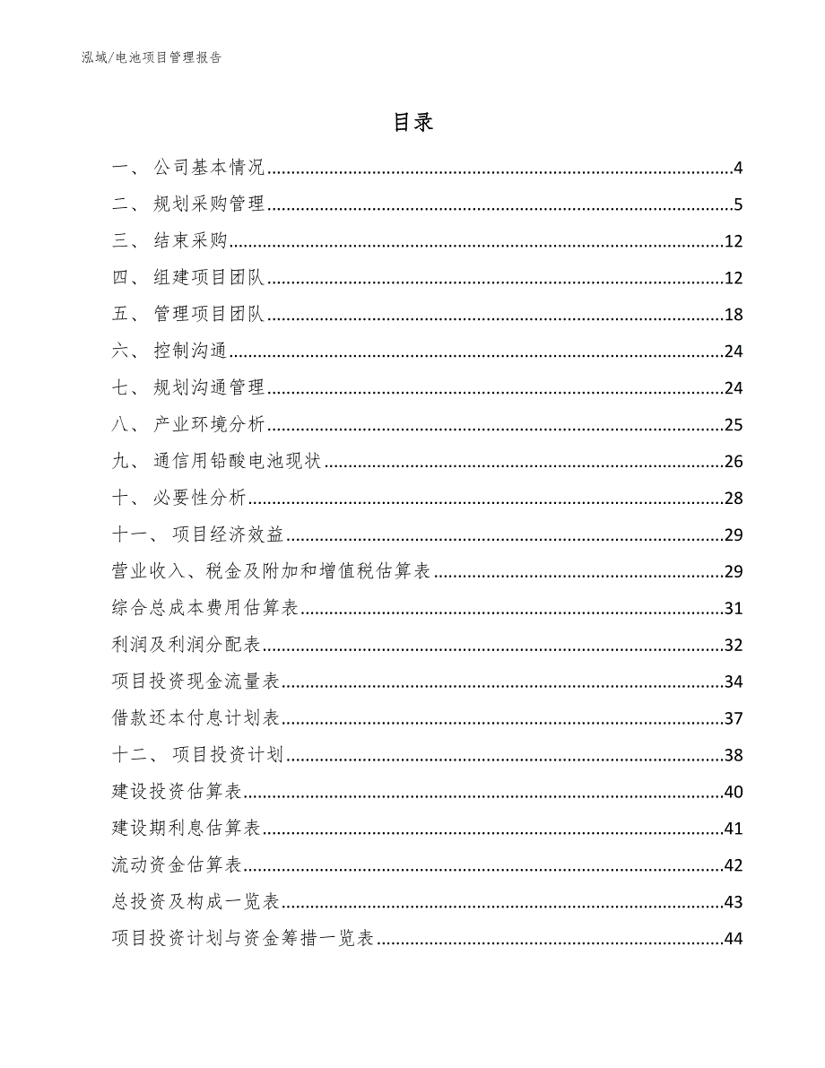 电池项目管理报告（参考）_第2页