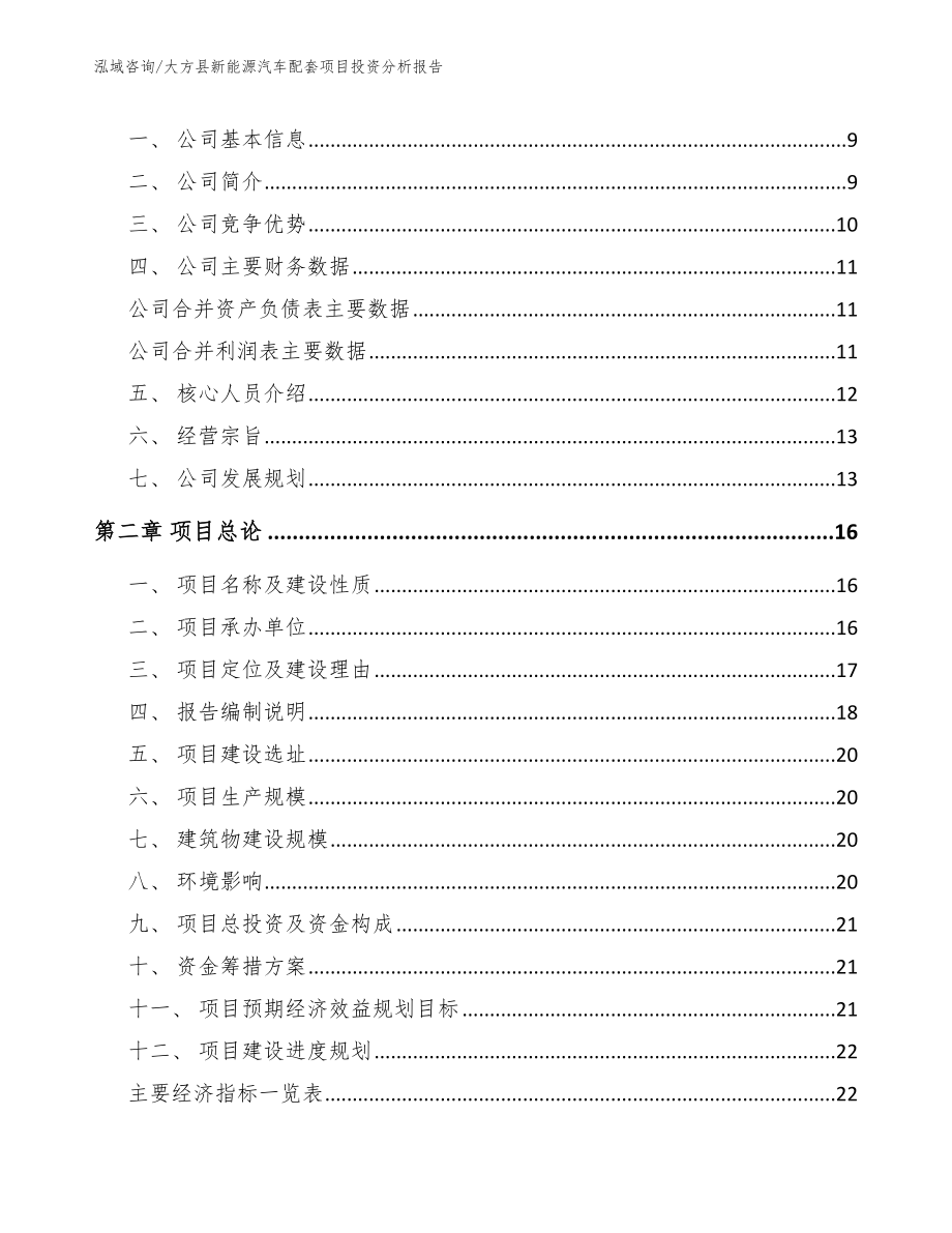 大方县新能源汽车配套项目投资分析报告（参考模板）_第2页