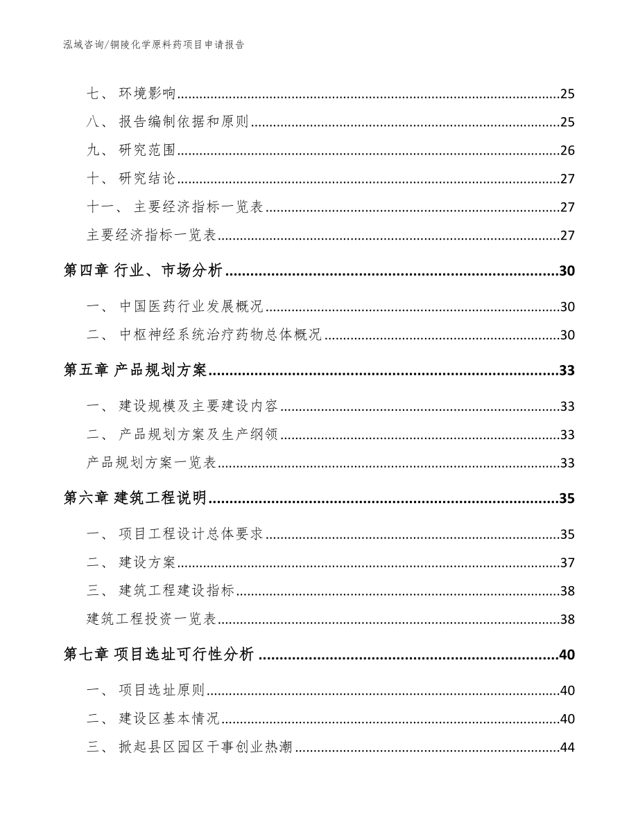 铜陵化学原料药项目申请报告_第2页