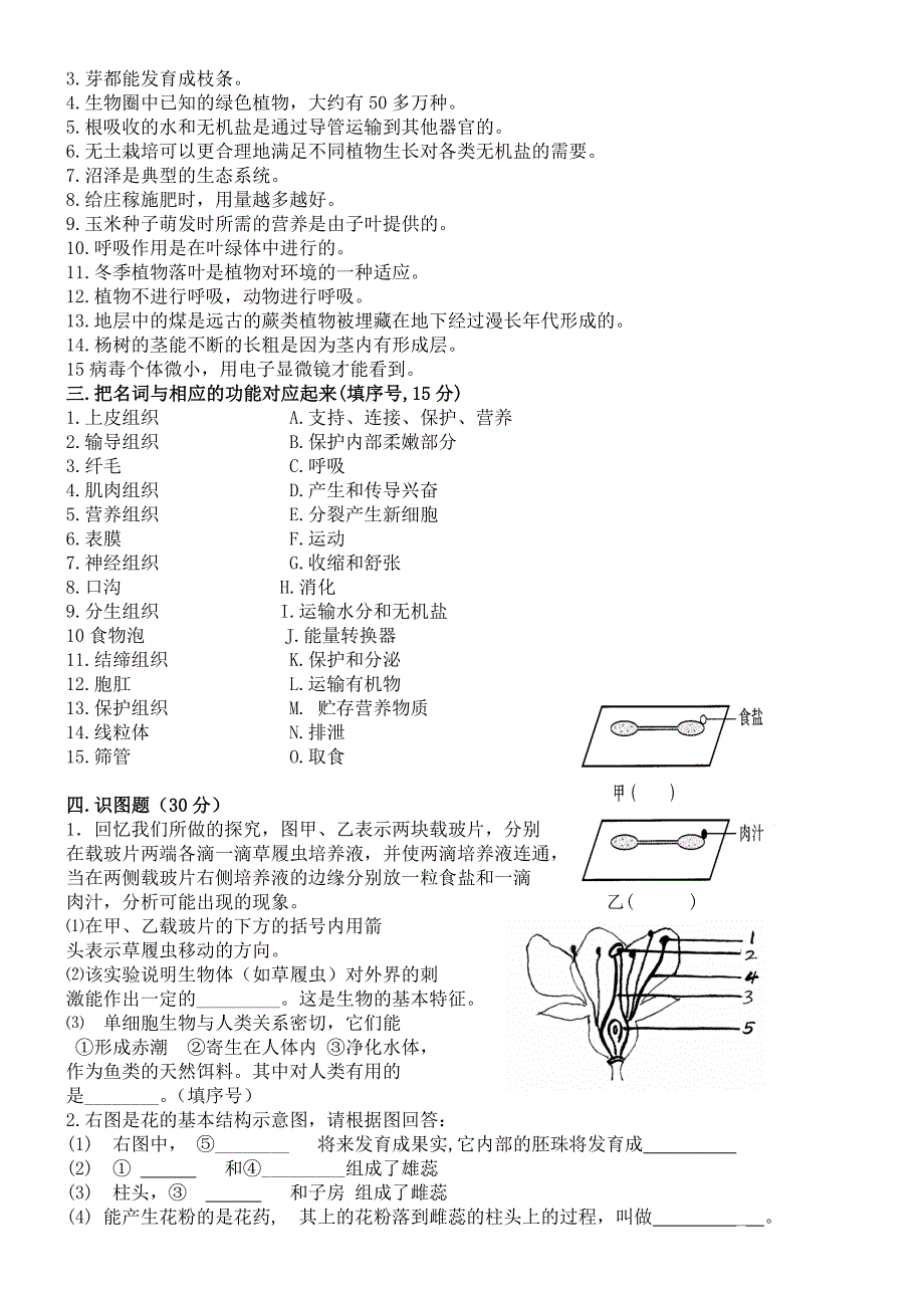 人教版七年级上册生物期末考试试卷及答案.doc_第3页